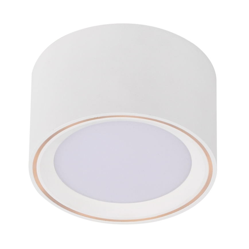 Nordlux - Foco LED FALLON LED/5,5W/230V blanco