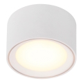 Nordlux - Foco LED regulable FALLON LED/5,5W/230V blanco