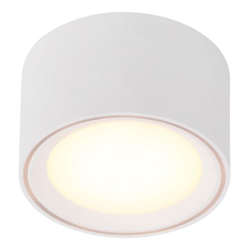 Nordlux - Foco LED regulable FALLON LED/5,5W/230V blanco