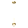 Nordlux - Lámpara colgante con cable CONTINA 1xG9/5W/230V latón
