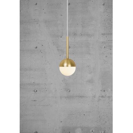 Nordlux - Lámpara colgante con cable CONTINA 1xG9/5W/230V latón