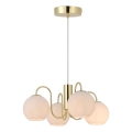 Nordlux - Lámpara colgante FRANCA 4xE14/40W/230V