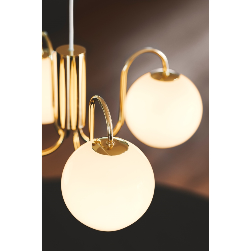Nordlux - Lámpara colgante FRANCA 4xE14/40W/230V