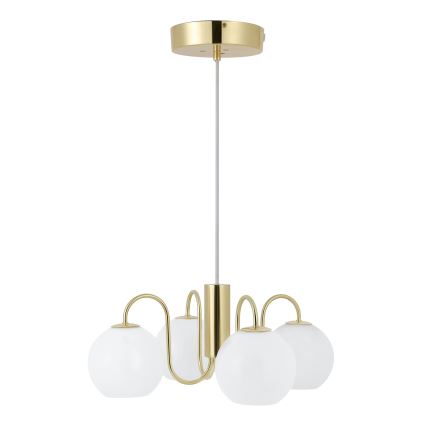 Nordlux - Lámpara colgante FRANCA 4xE14/40W/230V