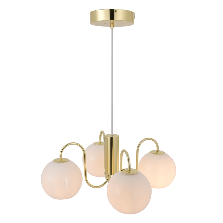 Nordlux - Lámpara colgante FRANCA 4xE14/40W/230V