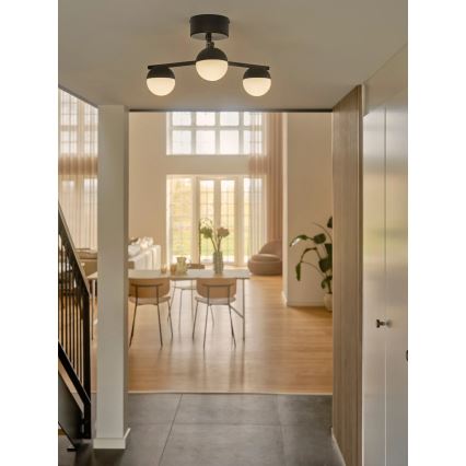 Nordlux - Lámpara de techo CONTINA 3xG9/5W/230V negro