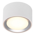 Nordlux - Plafón LED regulable FALLON LED/5,5W/230V 2700K diá. 10 cm blanco