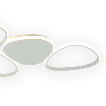 ONLI - Plafón LED ROMEO LED/48W/230V 4000K blanco