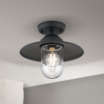 Lámpara de techo exterior de superficie EDWARD 1xE27/60W/230V IP44 antracita