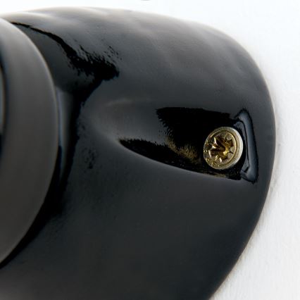 Aplique de pared FROST 1xE27/60W/230V negro