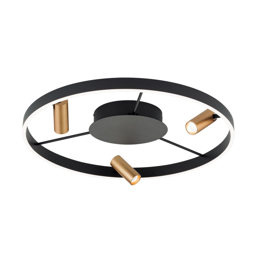 Plafón LED regulable BERLIN LED/50W/230V negro/dorado