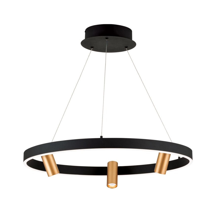 Lámpara colgante LED regulable en cable BERLIN LED/50W/230V negro/dorado