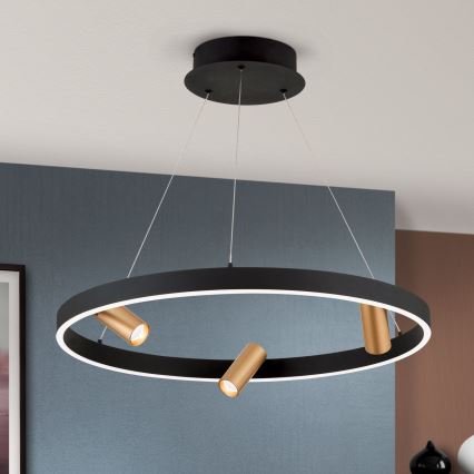 Lámpara colgante LED regulable en cable BERLIN LED/50W/230V negro/dorado