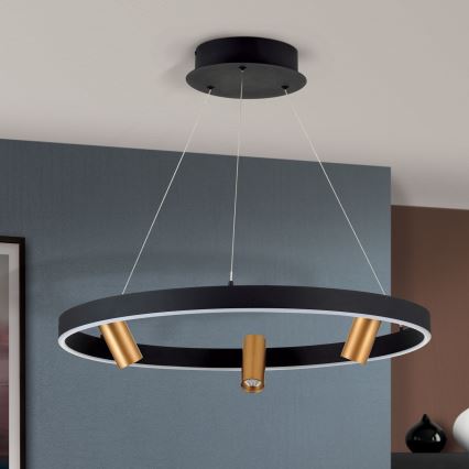 Lámpara colgante LED regulable en cable BERLIN LED/50W/230V negro/dorado