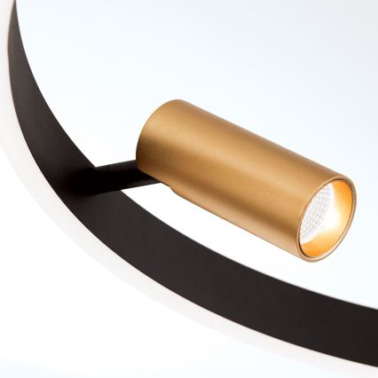 Lámpara colgante LED regulable en cable BERLIN LED/50W/230V negro/dorado