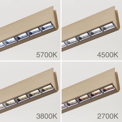 Lámpara de araña LED regulable TARA LED/44W/230V 2700/3800/4500/5700K dorado