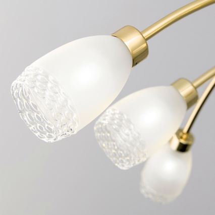 Lámpara en barra CARLA 8xG9/28W/230V dorada