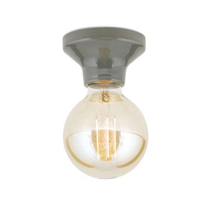 Lámpara de techo FROST 1xE27/60W/230V gris