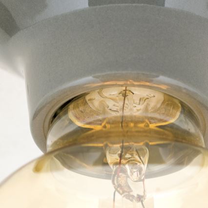 Lámpara de techo FROST 1xE27/60W/230V gris