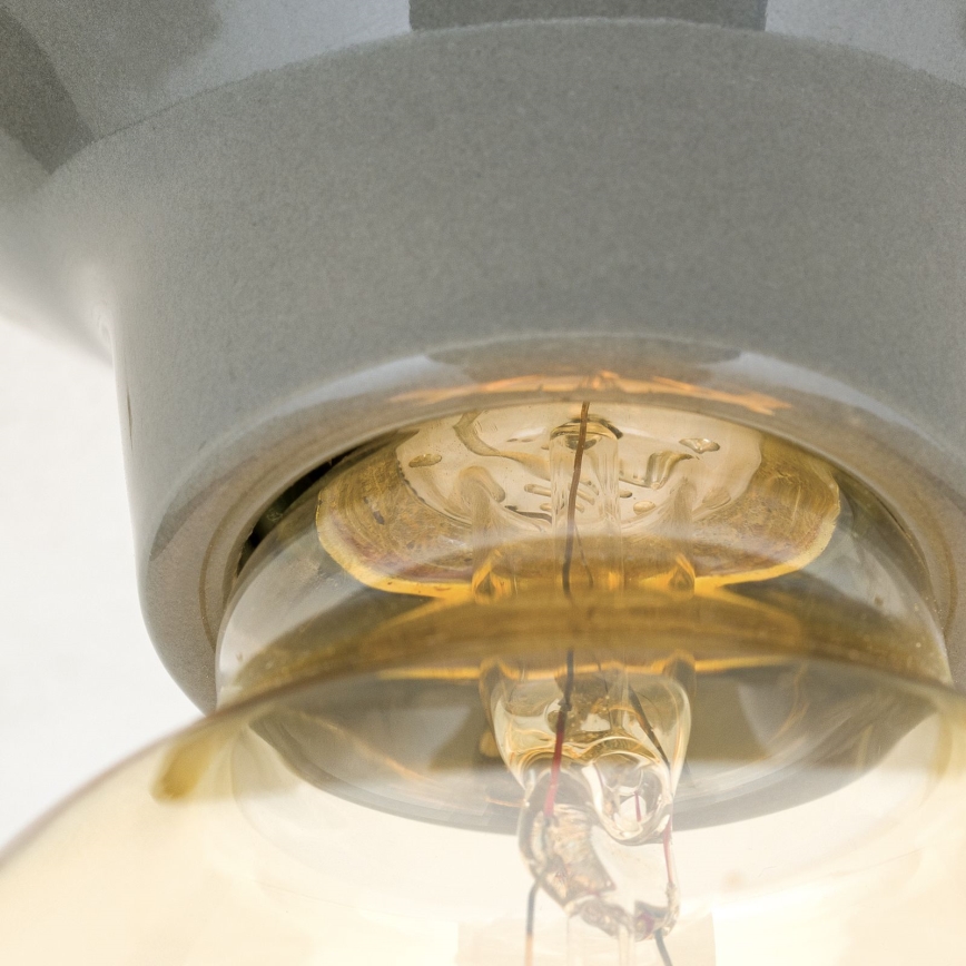 Lámpara de techo FROST 1xE27/60W/230V gris