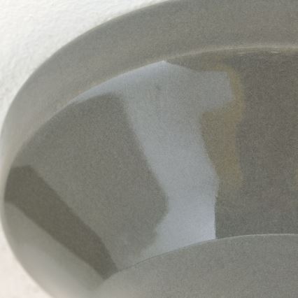 Lámpara de techo FROST 1xE27/60W/230V gris