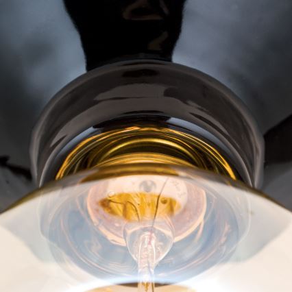 Lámpara de techo FROST 1xE27/60W/230V negra