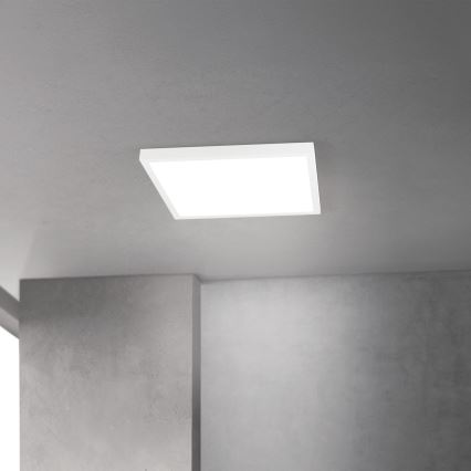 Luminaria de techo LED regulable DISC LED/30W/230V 2700/3000/4000K 39x39 cm blanco