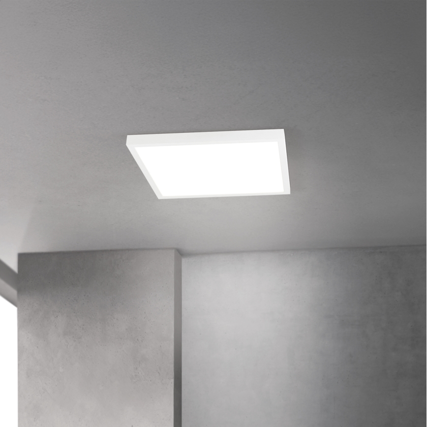 Luminaria de techo LED regulable DISC LED/30W/230V 2700/3000/4000K 39x39 cm blanco