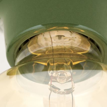 Lámpara de techo FROST 1xE27/60W/230V verde