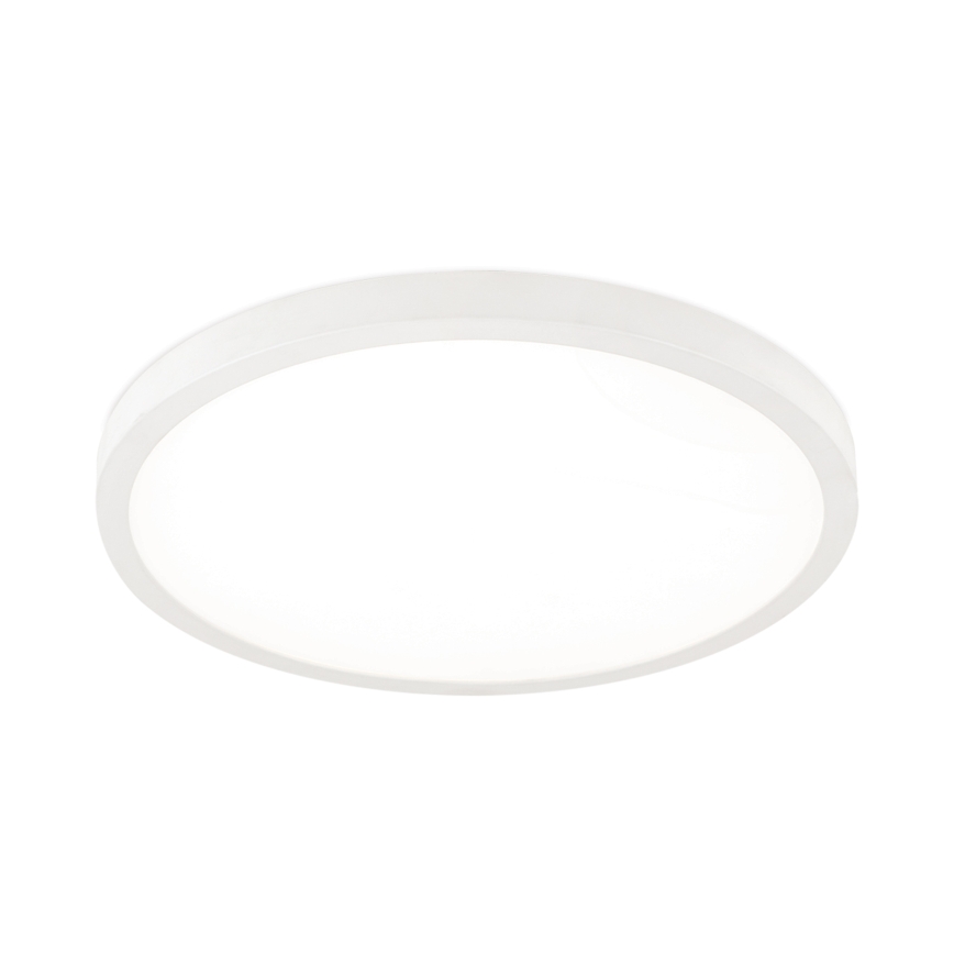 Plafón LED regulable DISC LED/30W/230V 2700/3000/4000K diámetro 40 cm blanco