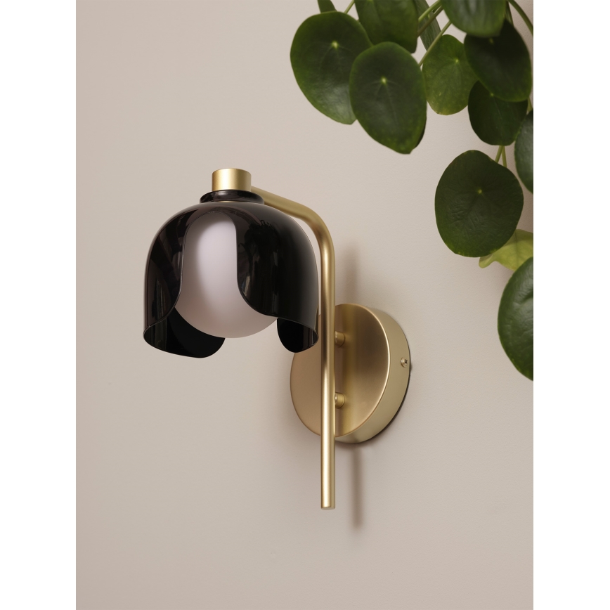 Osram - Aplique de pared DECOR COROLLE 1xG9/20W/230V negro/dorado