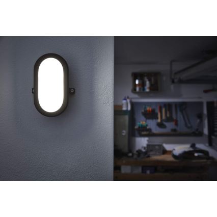 Osram - Aplique de pared exterior LED BULKHEAD/6W/230V IP54 negro