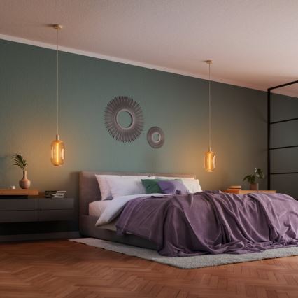 Osram - Cable de alimentación PENDULUM NEEDLE 1xE27/15W/230V