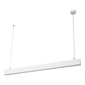 Osram - Lámpara colgante LED regulable con cable OFFICE LINE LED/42W/230V 4000K 112,6 cm blanca