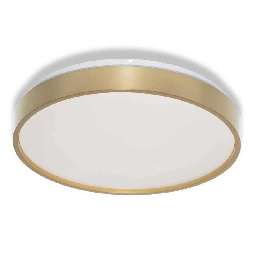 Osram - Lámpara de techo LED CEILING LUXO LED/18W/230V Ø 32 cm, dorada