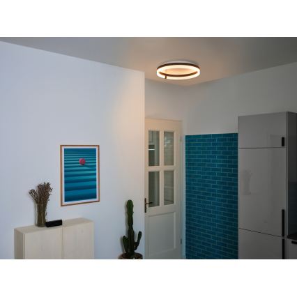 Osram - Luminaria de techo LED DECOR CIRCLE, LED/32W/230V, 3000/4000/6500K, Ø 50 cm, negro/blanco
