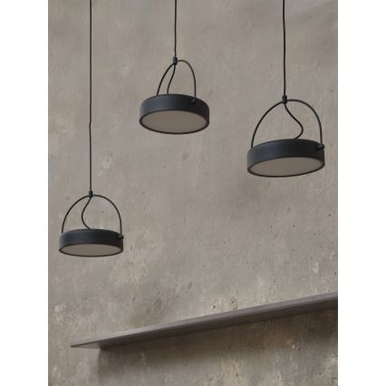 Osram - Lámpara LED colgante con cable DECOR PUCK 3xLED/12W/230V CRI 90 negra