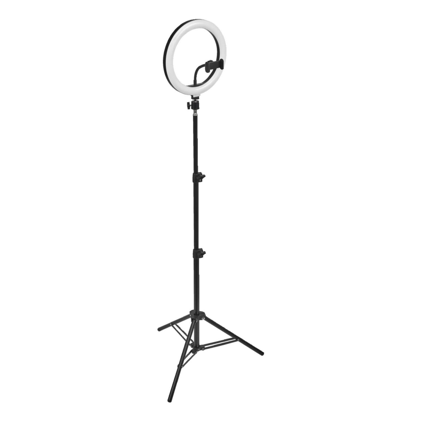Osram - Lámpara LED regulable con trípode y soporte para vlogs LED/6W/USB 210 mAh