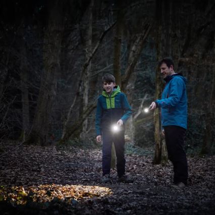 Osram - Linterna LED regulable LEDINSPECT TORCH 450 ESSENTIAL LED/6W/3xAAA IP44