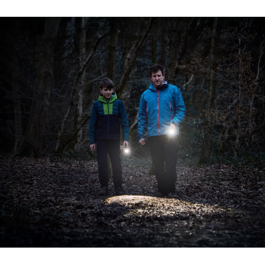 Osram - Linterna LED regulable LEDINSPECT TORCH 450 ESSENTIAL LED/6W/3xAAA IP44