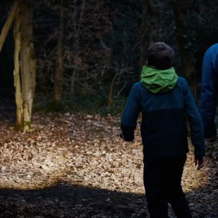 Osram - Linterna LED regulable LEDINSPECT TORCH 450 ESSENTIAL LED/6W/3xAAA IP44