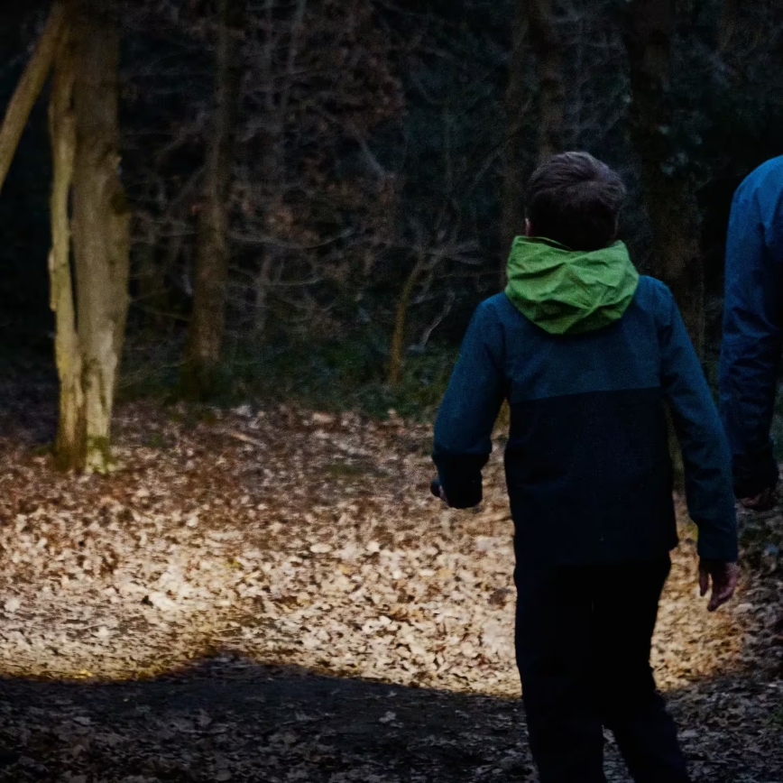 Osram - Linterna LED regulable LEDINSPECT TORCH 450 ESSENTIAL LED/6W/3xAAA IP44