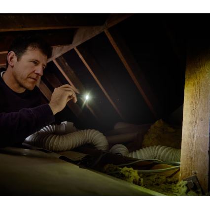 Osram - Linterna LED regulable LEDINSPECT TORCH 250 ESSENTIAL LED/2W/2xAAA IP44