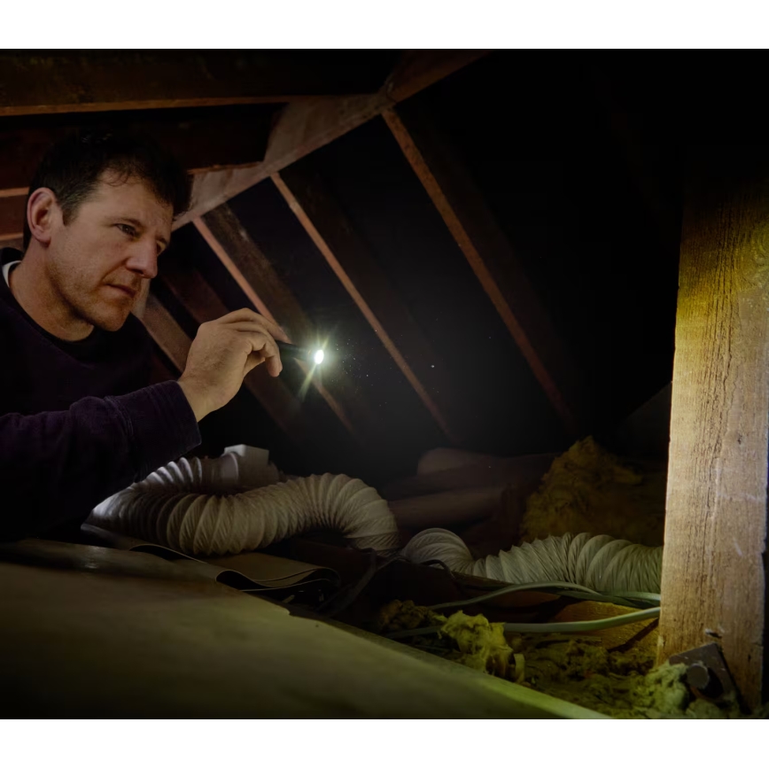 Osram - Linterna LED regulable LEDINSPECT TORCH 250 ESSENTIAL LED/2W/2xAAA IP44