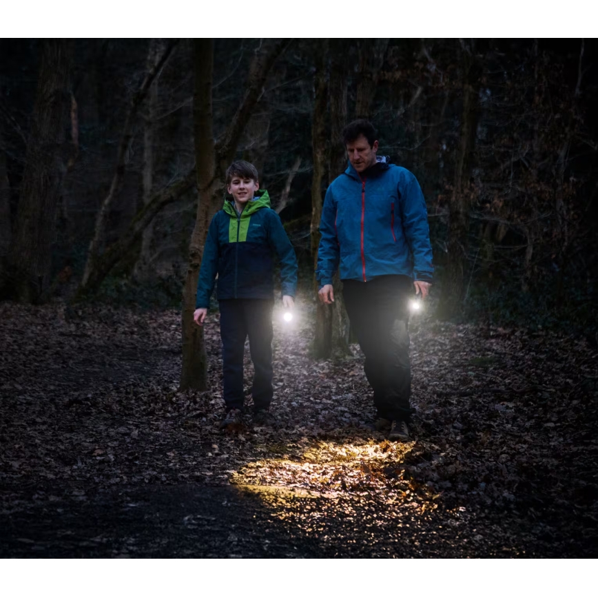 Osram - Linterna LED regulable LEDINSPECT TORCH 350 ESSENTIAL LED/4W/2xAAA IP44