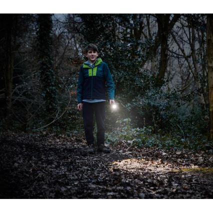 Osram - Linterna LED regulable LEDINSPECT TORCH 350 ESSENTIAL LED/4W/2xAAA IP44