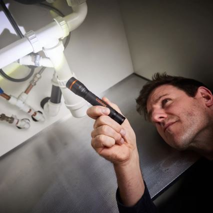 Osram - Linterna LED regulable LEDINSPECT TORCH 350 ESSENTIAL LED/4W/2xAAA IP44