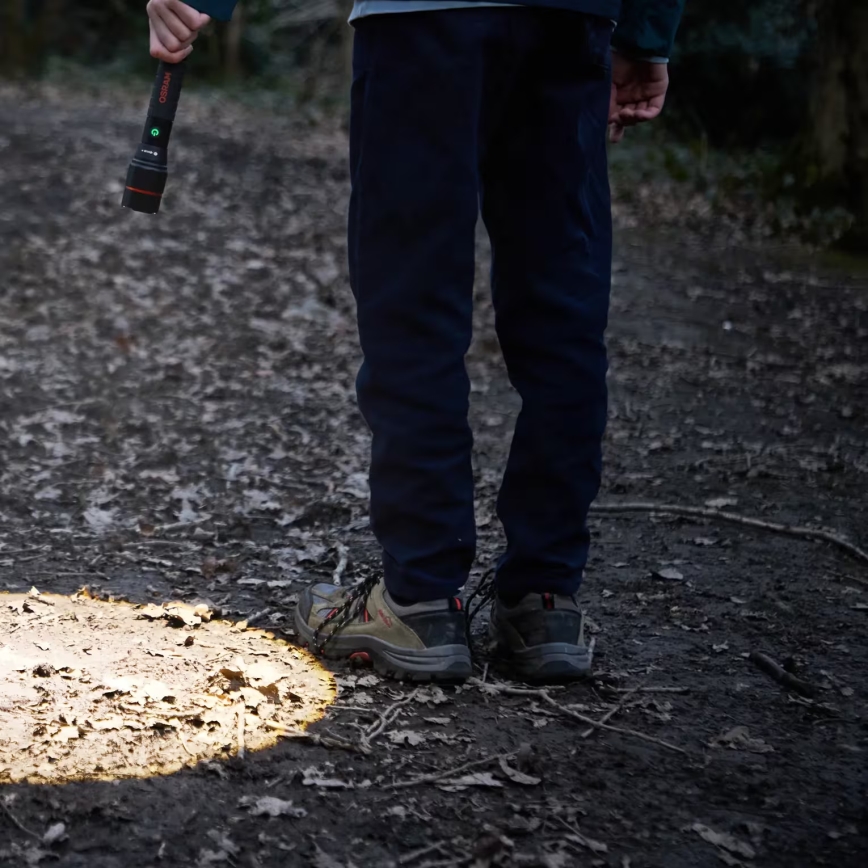 Osram - Linterna LED recargable regulable LEDINSPECT PRO TORCH 1200 LED/13W/3,6V 4000 mAh IP44