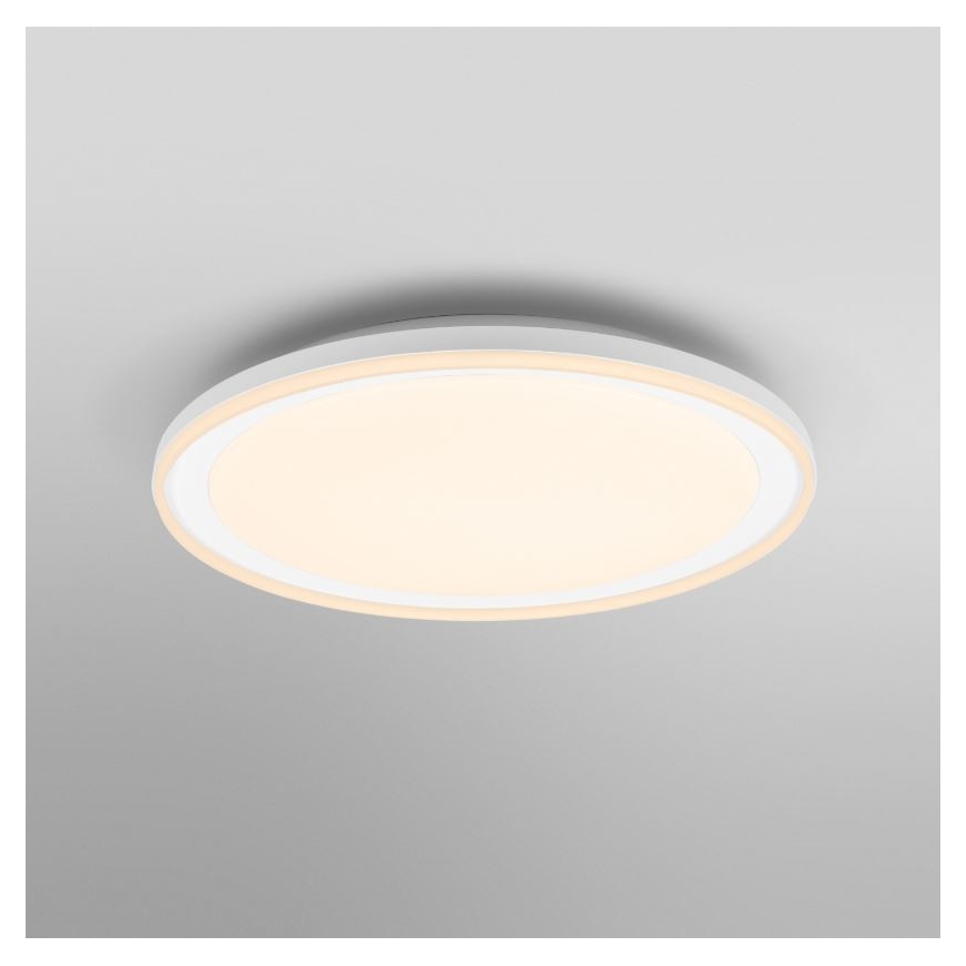 Osram - Luminaria de techo LED ORBIS PEDERSON LED/36W/230V, diámetro 55 cm, blanca