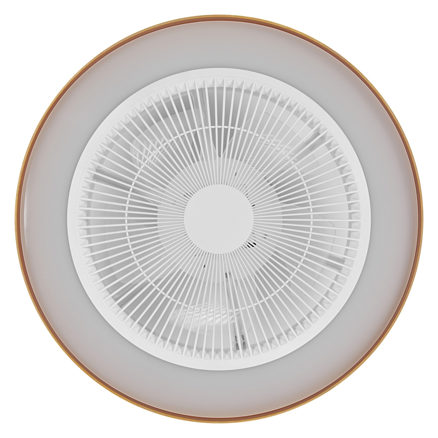Osram - Lámpara de techo regulable LED con ventilador CEILING FAN LED/49W/230V 2700-6500K blanco/dorado + mando a distancia
